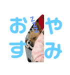 萩原 ジョンくん（個別スタンプ：2）