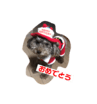 わたしの日常たち（個別スタンプ：3）