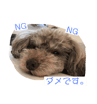 わたしの日常たち（個別スタンプ：5）