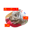 わたしの日常たち（個別スタンプ：7）