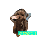 わたしの日常たち（個別スタンプ：8）