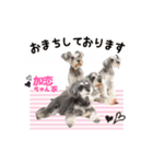 加恋ちゃん家スタンプ（個別スタンプ：1）