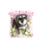 加恋ちゃん家スタンプ（個別スタンプ：5）