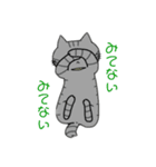 なんとも言えないねこたち。（個別スタンプ：13）