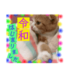 ねこまーち 元号（個別スタンプ：2）