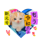 ねこまーち 元号（個別スタンプ：3）