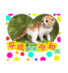 ねこまーち 元号（個別スタンプ：4）