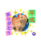 ねこまーち 元号（個別スタンプ：6）