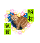 ねこまーち 元号（個別スタンプ：7）