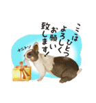 リアルなアニマルさん（個別スタンプ：12）