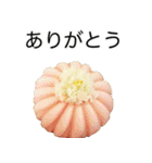 竹紫堂の和菓子。（個別スタンプ：6）