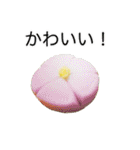 竹紫堂の和菓子。（個別スタンプ：10）