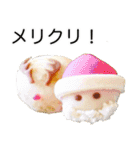 竹紫堂の和菓子。（個別スタンプ：14）