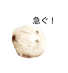 竹紫堂の和菓子。（個別スタンプ：25）