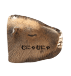 ほぼ寝てるカピバラ（個別スタンプ：2）