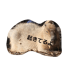 ほぼ寝てるカピバラ（個別スタンプ：3）