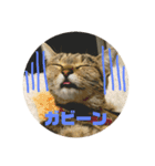 猫の日常☆1th（個別スタンプ：1）