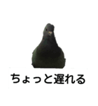 崇'sスタンプはと（個別スタンプ：8）