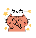 にゃんきち パート2（個別スタンプ：31）