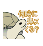 返事しろ（個別スタンプ：8）
