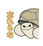 返事しろ（個別スタンプ：12）