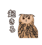 返事しろ（個別スタンプ：24）