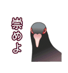 返事しろ（個別スタンプ：31）