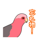 返事しろ（個別スタンプ：32）