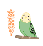 返事しろ（個別スタンプ：35）