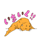セイウチのスタンプ（個別スタンプ：8）