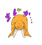 セイウチのスタンプ（個別スタンプ：11）