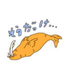 セイウチのスタンプ（個別スタンプ：16）