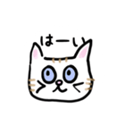ねこのごーるでん あいさつスタンプ（個別スタンプ：1）