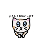ねこのごーるでん あいさつスタンプ（個別スタンプ：4）