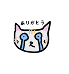 ねこのごーるでん あいさつスタンプ（個別スタンプ：6）