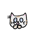 ねこのごーるでん あいさつスタンプ（個別スタンプ：7）