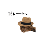 もの言いたげにゃんこ。（個別スタンプ：5）