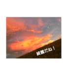 バラバラスタンプ！（個別スタンプ：4）