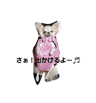 来空ちゃん（個別スタンプ：2）