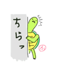 かめ＆かめ（個別スタンプ：4）
