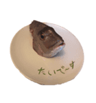 大好きな5人（個別スタンプ：8）