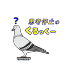 目がテンなヤツら‼（個別スタンプ：15）