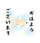 敬語の水彩金魚（個別スタンプ：1）