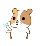 モルモット！（個別スタンプ：1）