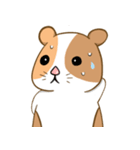 モルモット！（個別スタンプ：3）