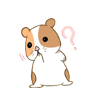 モルモット！（個別スタンプ：8）