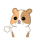 モルモット！（個別スタンプ：13）
