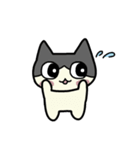ねこの日常ッ2（個別スタンプ：12）