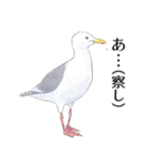 日本の野鳥5（個別スタンプ：5）