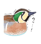 日本の野鳥5（個別スタンプ：6）